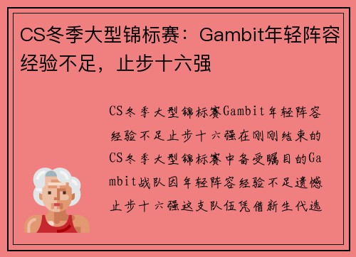 CS冬季大型锦标赛：Gambit年轻阵容经验不足，止步十六强
