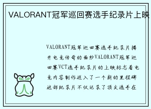 VALORANT冠军巡回赛选手纪录片上映