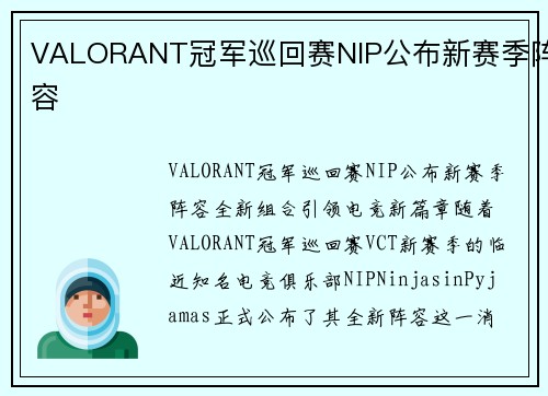 VALORANT冠军巡回赛NIP公布新赛季阵容