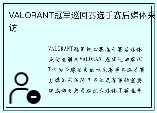VALORANT冠军巡回赛选手赛后媒体采访