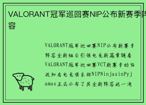 VALORANT冠军巡回赛NIP公布新赛季阵容